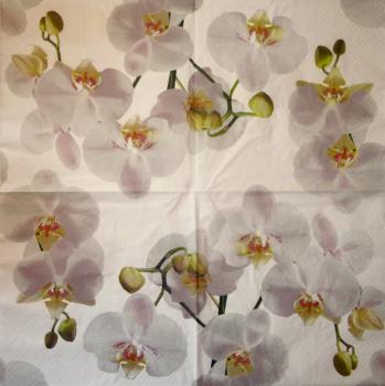 076 Orchideen - 3-lagig